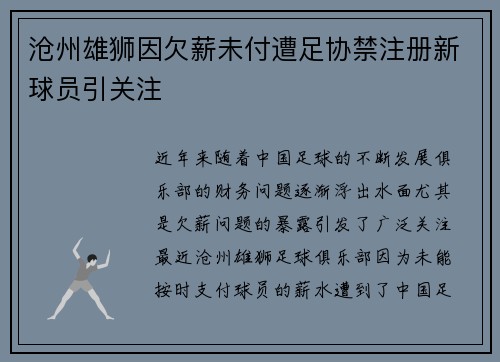 沧州雄狮因欠薪未付遭足协禁注册新球员引关注 沧州雄狮因欠薪未付遭足协禁注册新球员引关注